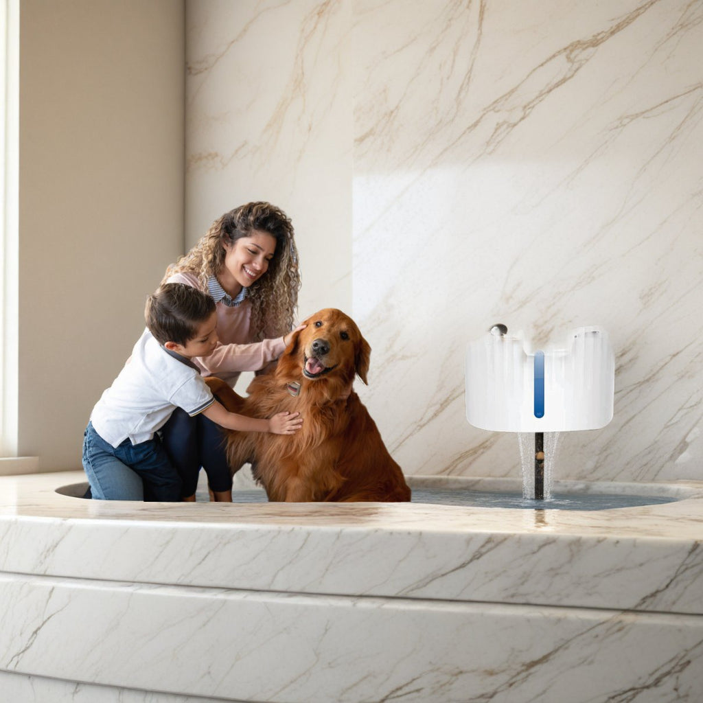 Starlyf Pet Fountain a 49,99€