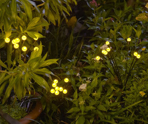 Starlyf Glow Lights 2x1 a 248 LEU