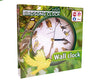 Birdsong Clock a 975 CZK