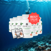 DentaTonic - 6 Bottles + 2  Ebooks