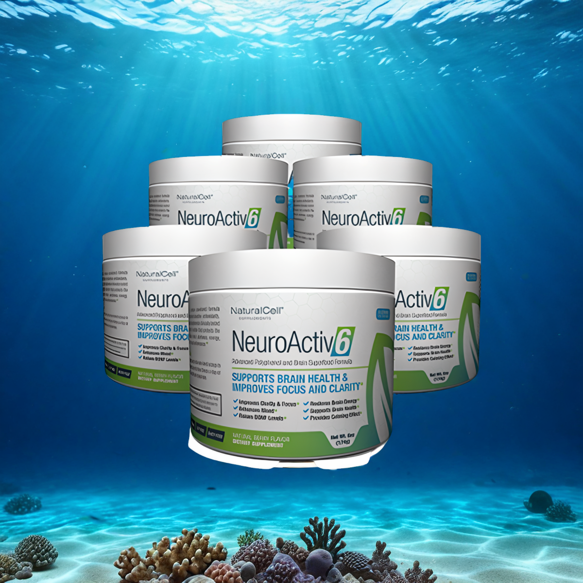 NeuroActiv6 - 6 jars
